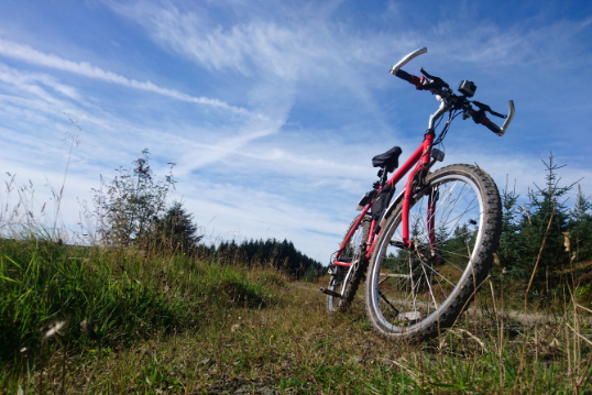 Cycling in Kielder